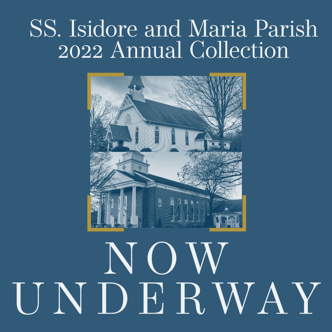 2022 Parish Annual Collection