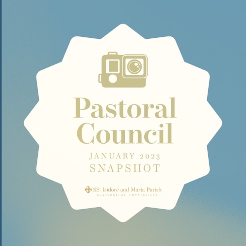 Pastoral Council Snapshot for January 2023